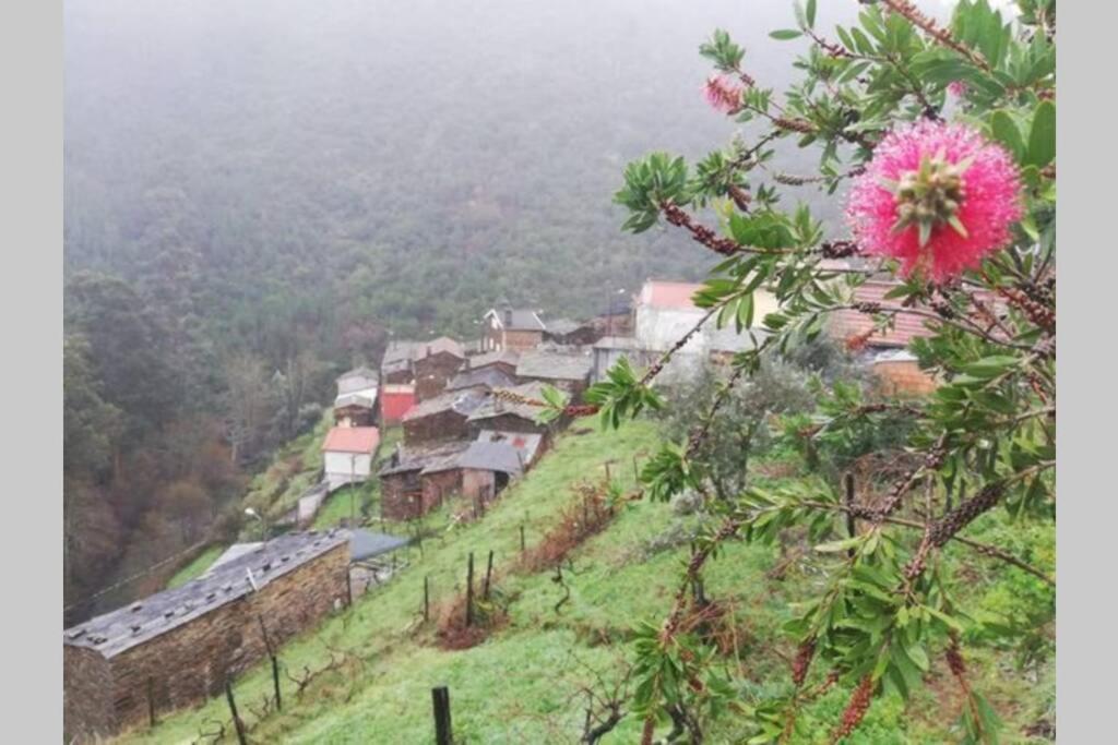 Casa do Avô Alváro - Refugio do Rei Casal do Rei  Exterior foto